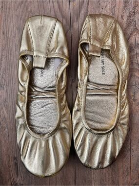 Raspberry Sole Foldable Leather Ballet Flats size 41 M Metallic
